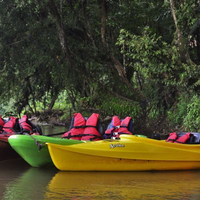 Safari en Bote y Kayak, Río San Carlos