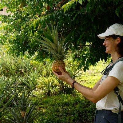 Tour Agroecológico, Finca Surá